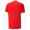 Maillot de Supporter Ghana Extérieur Coupe du Monde 2022 Pour Homme